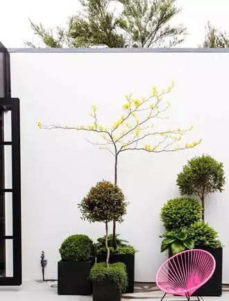 �����̻�ֲ������